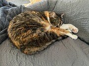 Mei Mei 20250528 0001