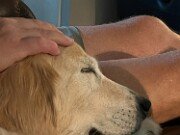 Sophie 20250725 0001