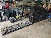 Summer Cyclamen Seeds 20250628 0004