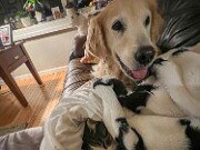 Sophie and Moose 20251104 0001